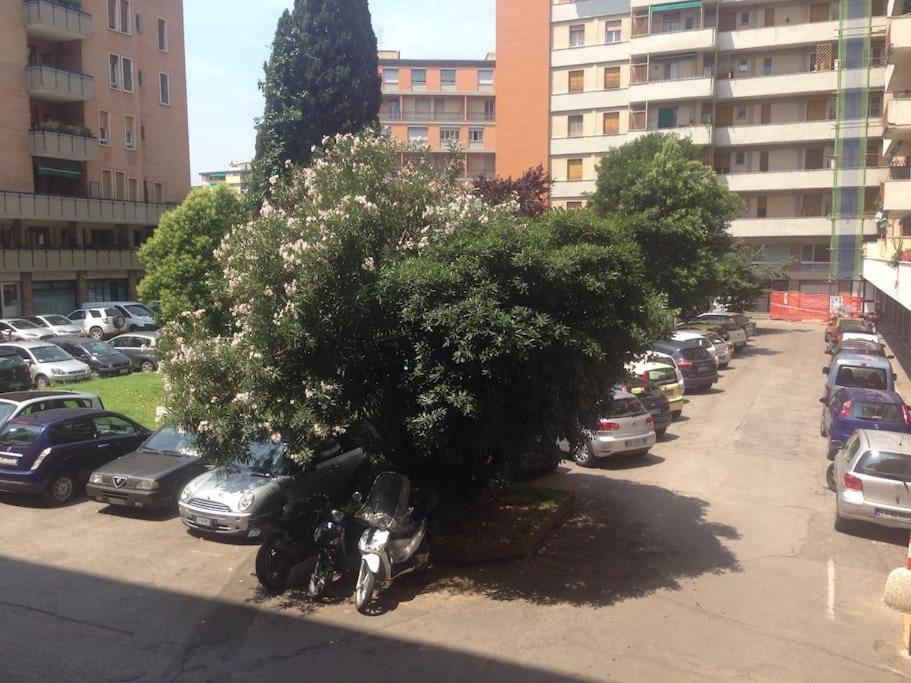 Gasthuis Mascagni *